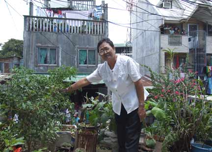 Lydia Abad, 62 ans, a créé un véritable potager sur le toit de sa petite maison, dans le quartier de Holy Spirit au nord de Manille, qui lui fournit 80% de son alimentation pour sa famille de quatre personnes.(Photo : Alastair McIndoe)