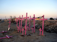 Dans plusieurs endroits de la ville, comme ici dans le « champ des cotonniers », des croix roses rappellent les meurtres des femmes de Ciudad Juarez ( Photo : Patrice Gouy/RFI )