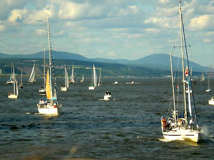L'arrivée des voiliers de la grande traversée juste devant le port de Québec.(Photo : Pascale Guéricolas / RFI)