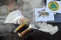 Pesticides. France(Photo : AFP/ Frank Perry)