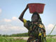Un habitant sur cinq de la planète n’a pas d’accès à l’eau potable et un sur deux ne bénéficie pas de connexion à un réseau d’assainissement(Photo : Stéphanie Braquehais/RFI)