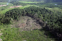 Destruction de la forêt amazonienne dans la région d'Anapu, à 600 km de Belem.(Photo: AFP)