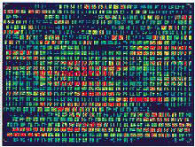 <i>Image représentant un fragment de séquence d'ADN.</i>DR