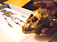Le paléontologiste éthiopien Zeresenay Alemseged montre les restes d'un squelette d'une fillette de trois ans remontant à 3,3 millions d'années, découvert dans la région de Dikika.(Photo: AFP)