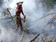 Les paysans indonésiens qui défrichent les terres cultivables en y mettant le feu, perdent parfois le contrôle des flammes qui embrasent alors les forêts tropicales.(Photo : AFP)