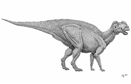 Gryposaurus monumentensis.(Photo : AFP)