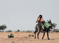 Au Soudan, une fille de nomades transporte de l'eau à dos d'âne.(Photo : Stuart Price / UN Photos)