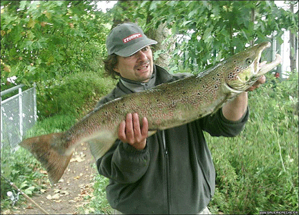 Un saumon atlantique de 7 kilos et 97cm a été pêché le 3 octobre dans la Seine, au barrage de Suresnes.(Photo: FlickR)