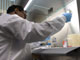 Dans ce laboratoire de Vancouver, ce chercheur canadien essaie d'élaborer un vaccin contre la grippe porcine, le 28 avril 2009.(Photo : Reuters)